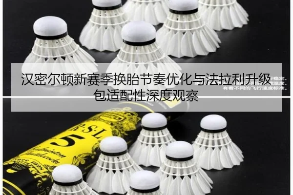 汉密尔顿新赛季换胎节奏优化与法拉利升级包适配性深度观察